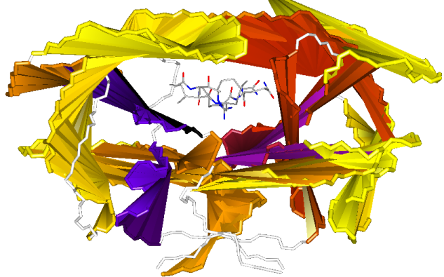 Figure 11C